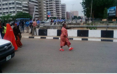 Ezekwesili: Buhari leaving Chibok girls’ freedom to Boko Haram