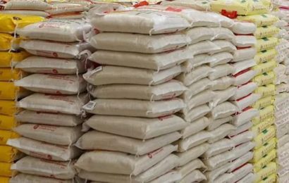 Prices of rice, corn, other foodstuffs crash in Jigawa