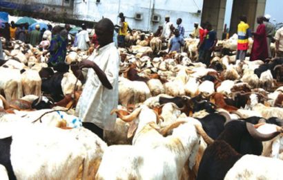 Sallah: Nigerian Traders Groan as Economic Woes Hit Ram Sales