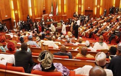 Senate Confirms N13.5m Monthly Allowance to Senators