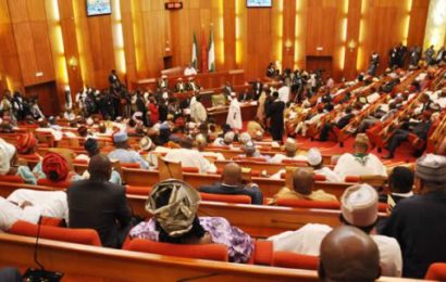 2019: INEC budget stuck as Senate won’t reconvene