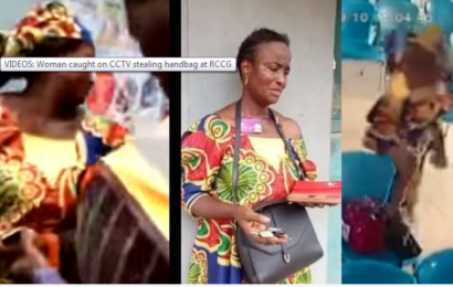 Watch: Woman Caught on CCTV Stealing Handbag at RCCG