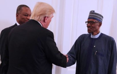 Young Nigerians should replicate America back home – US official