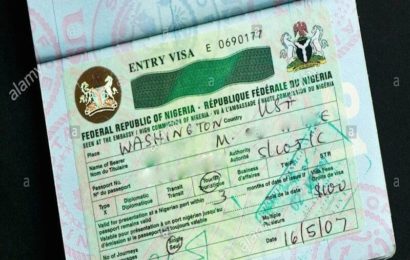 Nigerians in Diaspora Do Not Pay for Visa to Travel to Nigeria Except …