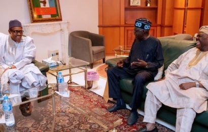 My Visit to Buhari Unconnected with Obasanjo’s Letter, says Tinubu