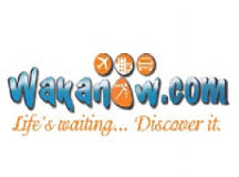 Wakanow.com Innovative Daily Remittance & Prepaid Card Platforms