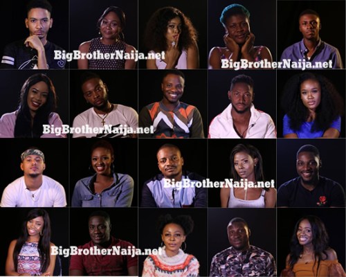 Ladies of Big Brother Nigeria Celebrate Women Heroes