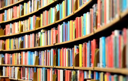 Libraries in Poor Nigerian States Turned to Social Event Centres