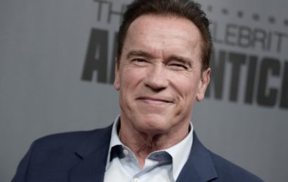 Arnold Schwarzenegger Attacked in South Africa