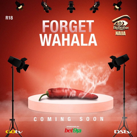 Big Brother Naija season 4 kicks off June — Multichoice