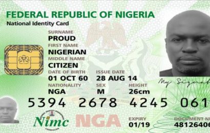 JUST IN: U.S.-based Nigerians to pay N15,000 Each for Identity Number
