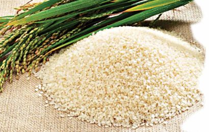 Experts say Nigeria rice straight from farm, nutritious & healthy