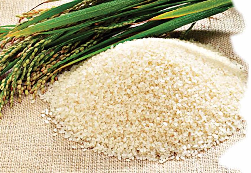 Experts say Nigeria rice straight from farm, nutritious & healthy