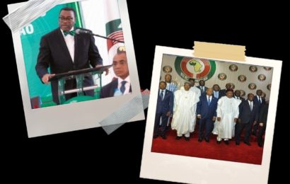 ECOWAS Presidents Endorse Nigeria’s Adesina for Second Term as President of African Bank