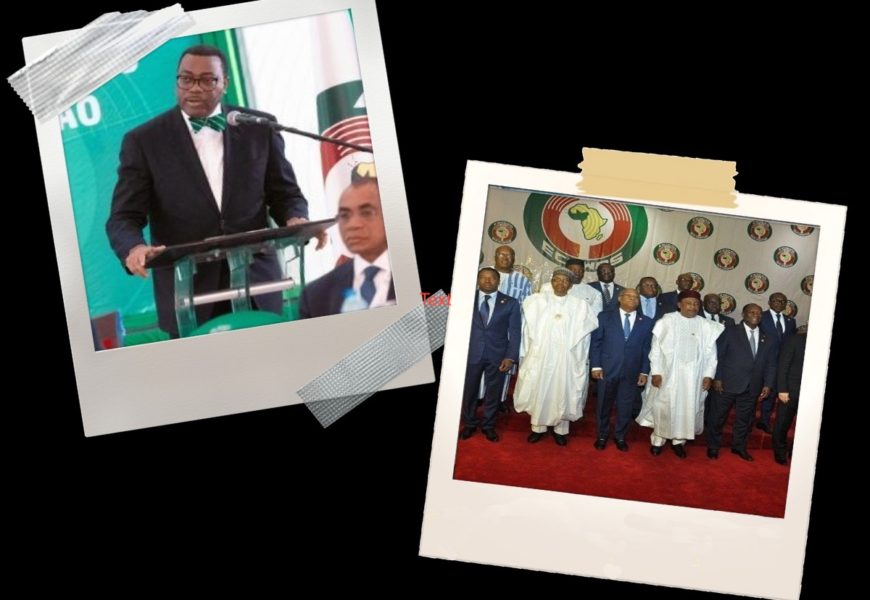 ECOWAS Presidents Endorse Nigeria’s Adesina for Second Term as President of African Bank